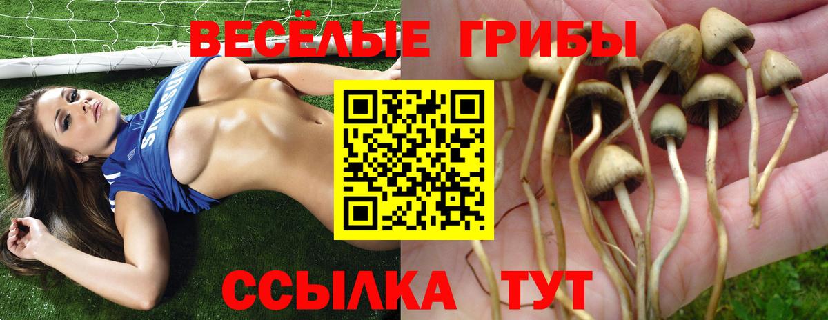 Барнаул  Псилоцибиновые грибы MAGIC MUSHROOMS  Вход с VPN 